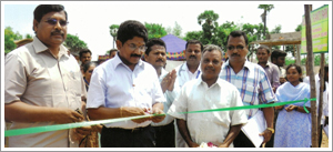 Medicinal-Plant-Exhibition