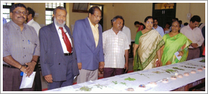Medicinal-Plant-Exhibition